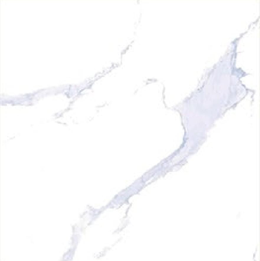 CERANOSA 60X60 CJ3606613FH